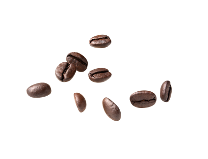 散らばったコーヒー豆