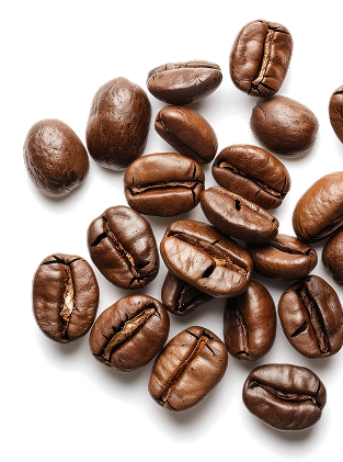 集まったコーヒー豆